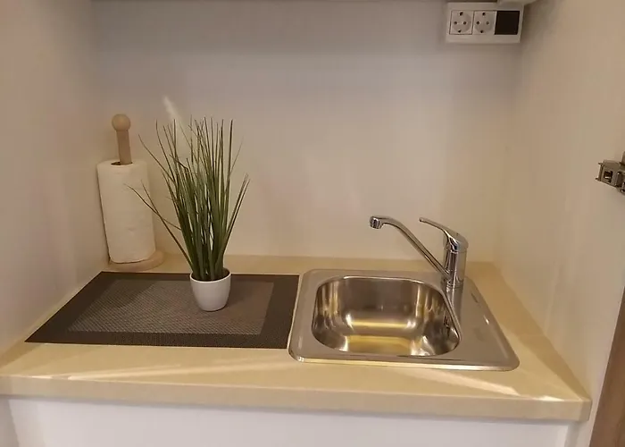 Hiša za goste Centralcityrooms *